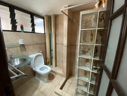 Ivory Heights (D22), Condominium #466882621